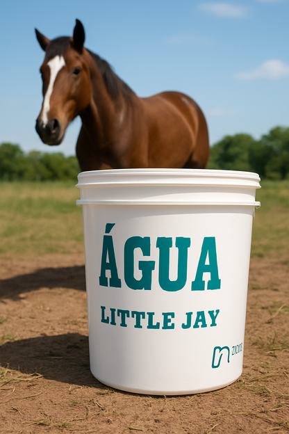 BALDE PERSONALIZADO COM  NOME OU MARCA