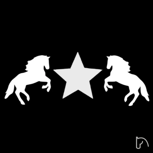 MOLDE CAVALO ESTRELA